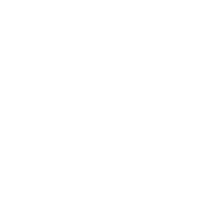 GS Legal Consulting